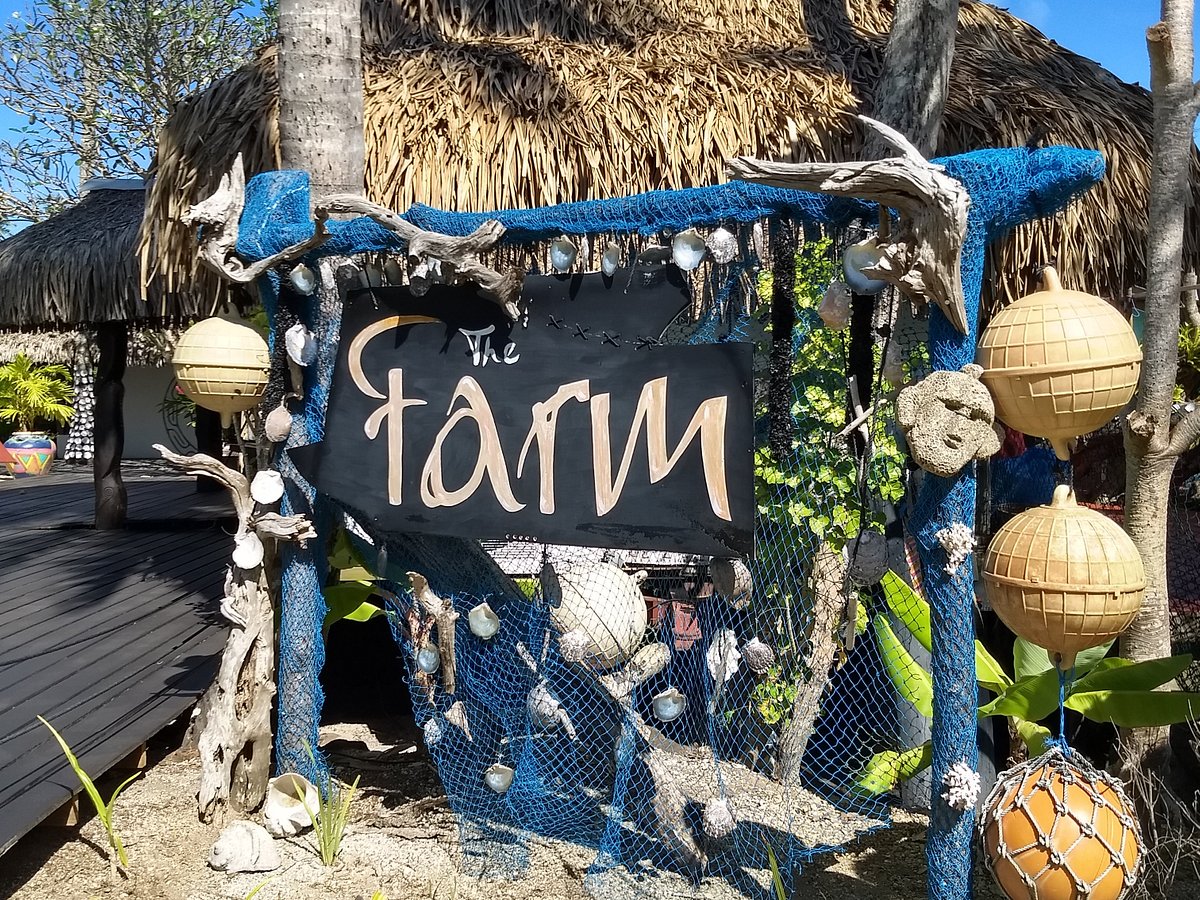 Private Pearl Farm Tour